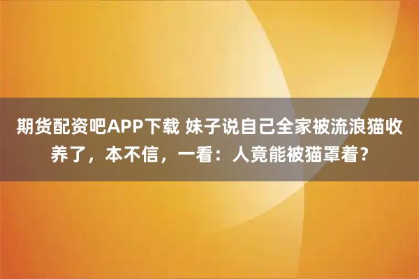 期货配资吧APP下载 妹子说自己全家被流浪猫收养了，本不信，一看：人竟能被猫罩着？