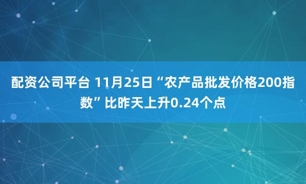 配资公司平台 11月25日“农产品批发价格200指数”比昨天上升0.24个点